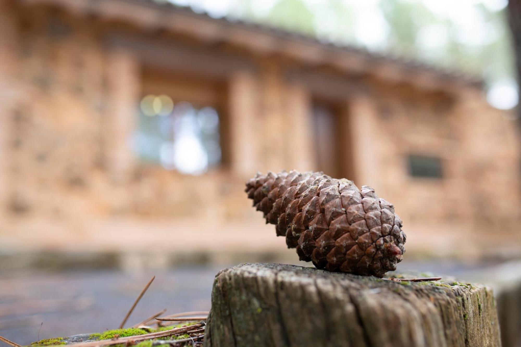 Casa Rural Riopar, Luxury In Nature 外观 照片